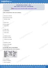 Đề thi học kì 1 Tiếng Anh 3 Family and Friends - Đề số 4